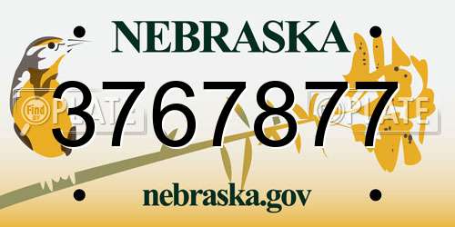 3767877 Nebraska License Plate