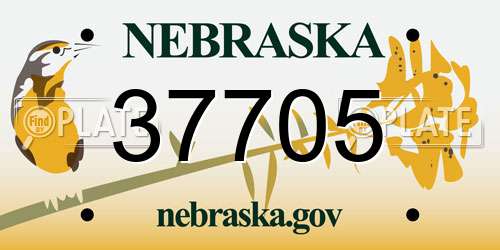 37705 Nebraska License Plate