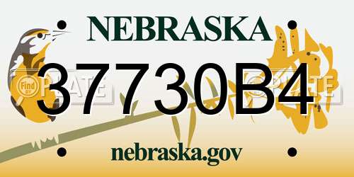 37730B4 Nebraska License Plate