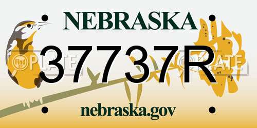 37737R Nebraska License Plate