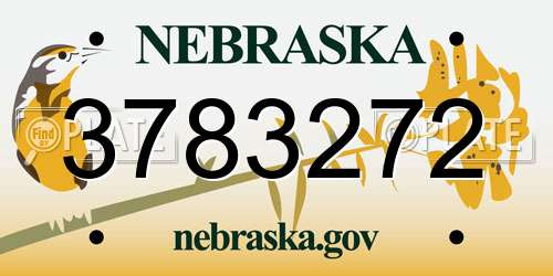 3783272 Nebraska License Plate
