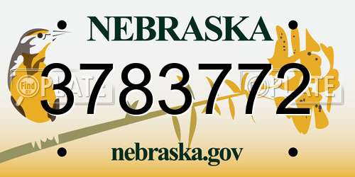 3783772 Nebraska License Plate