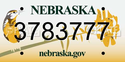 3783777 Nebraska License Plate