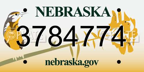 3784774 Nebraska License Plate