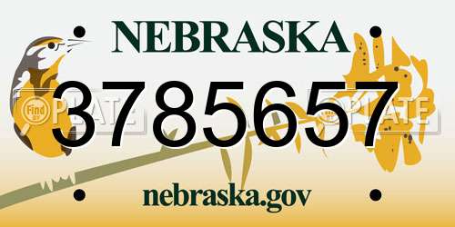 3785657 Nebraska License Plate