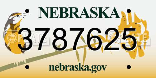 3787625 Nebraska License Plate