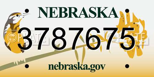 3787675 Nebraska License Plate