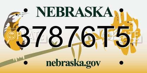 37876T5 Nebraska License Plate