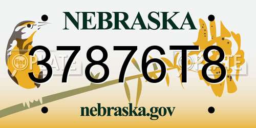 37876T8 Nebraska License Plate
