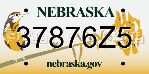 37876Z5 Nebraska License Plate