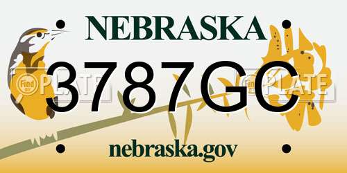 3787GC Nebraska License Plate
