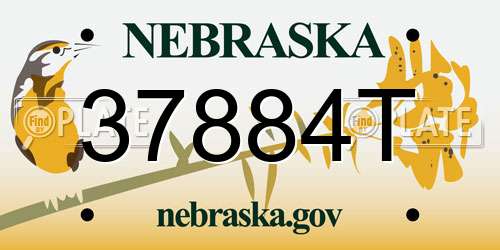 37884T Nebraska License Plate