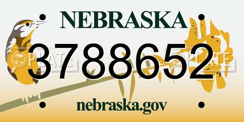 3788652 Nebraska License Plate