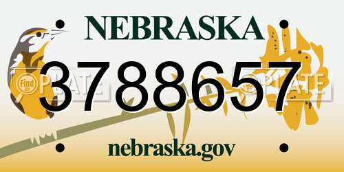 3788657 Nebraska License Plate