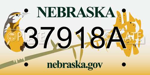 37918A Nebraska License Plate
