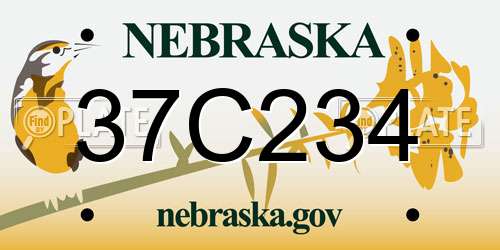 37C234 Nebraska License Plate