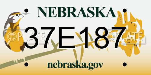 37E187 Nebraska License Plate