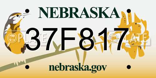 37F817 Nebraska License Plate