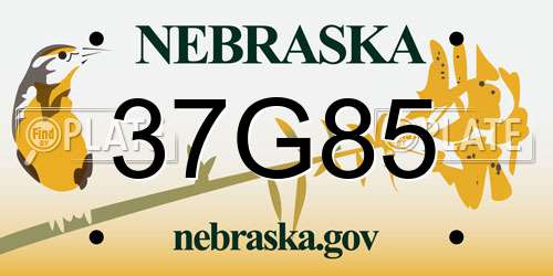 37G85 Nebraska License Plate