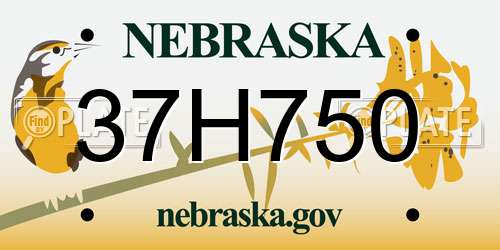 37H750 Nebraska License Plate