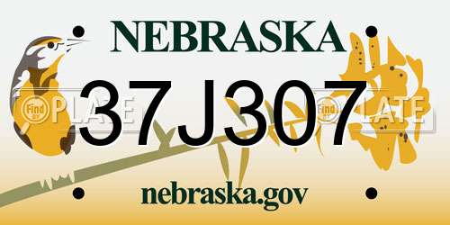 37J307 Nebraska License Plate