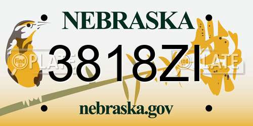 3818ZI Nebraska License Plate
