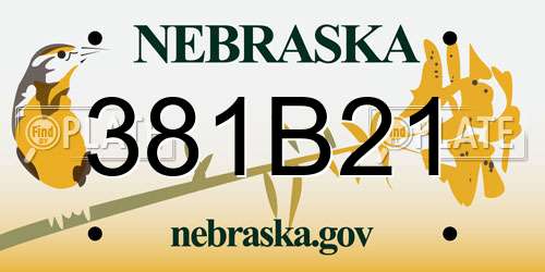 381B21 Nebraska License Plate