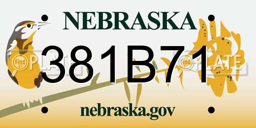 381B71 Nebraska License Plate