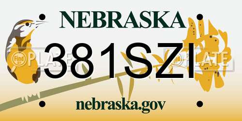 381SZI Nebraska License Plate