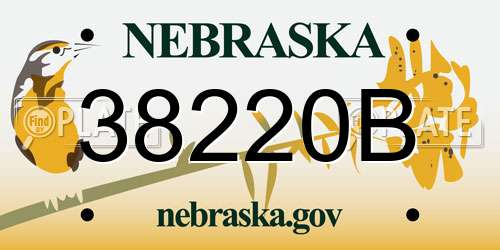 38220B Nebraska License Plate