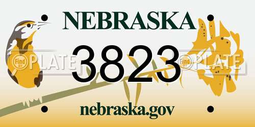 3823 Nebraska License Plate