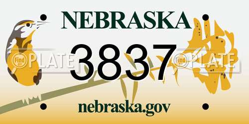 3837 Nebraska License Plate
