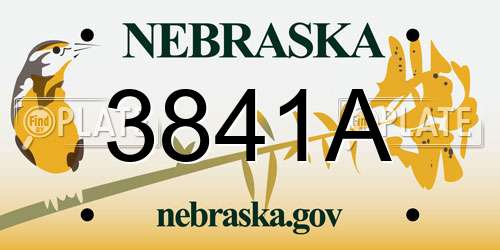 3841A Nebraska License Plate
