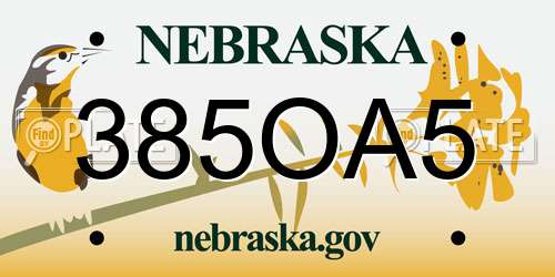 385OA5 Nebraska License Plate