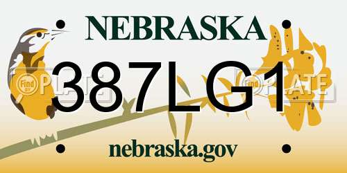 387LG1 Nebraska License Plate