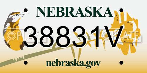 38831V Nebraska License Plate