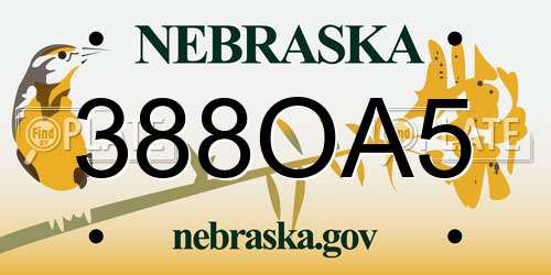 388OA5 Nebraska License Plate