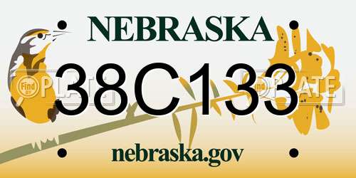 38C133 Nebraska License Plate