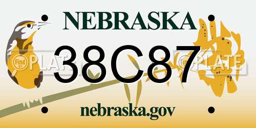 38C87 Nebraska License Plate