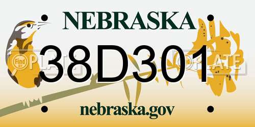 38D301 Nebraska License Plate