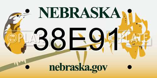 38E91 Nebraska License Plate
