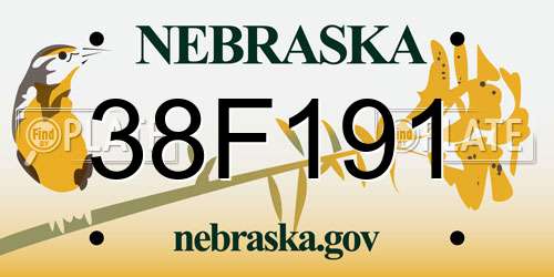 38F191 Nebraska License Plate