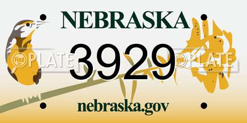 3929 Nebraska License Plate