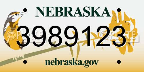 3989123 Nebraska License Plate