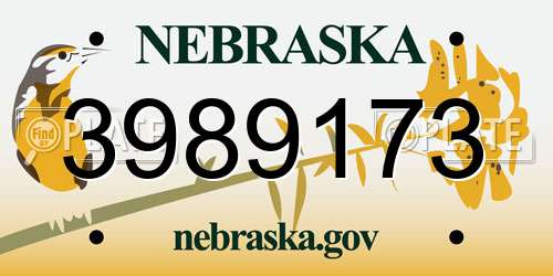 3989173 Nebraska License Plate