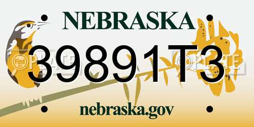 39891T3 Nebraska License Plate