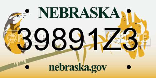 39891Z3 Nebraska License Plate