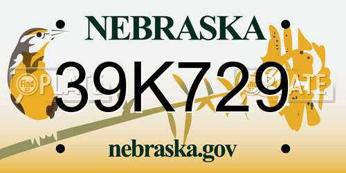 39K729 Nebraska License Plate