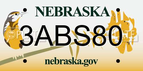 3ABS80 Nebraska License Plate
