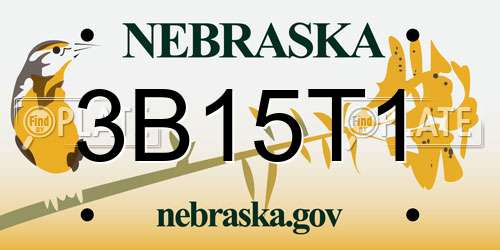 3B15T1 Nebraska License Plate